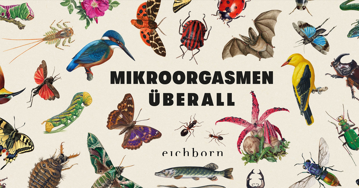 Dominik Eulberg „Mikroorgasmen Überall“